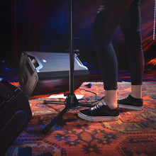 Cargar imagen en el visor de la galería, Altavoz PA/Monitor Pasivo De 12" | LD Systems ICOA 12