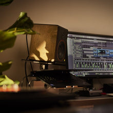 Cargar imagen en el visor de la galería, Monitor amplificado de campo cercano de 5" para estudio I Palmer STUDIMON5