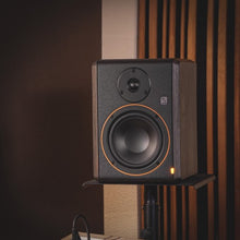 Cargar imagen en el visor de la galería, Monitor amplificado de campo cercano de 5&quot; para estudio
